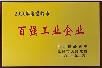 荣获2020年度温岭市“百强工业全民